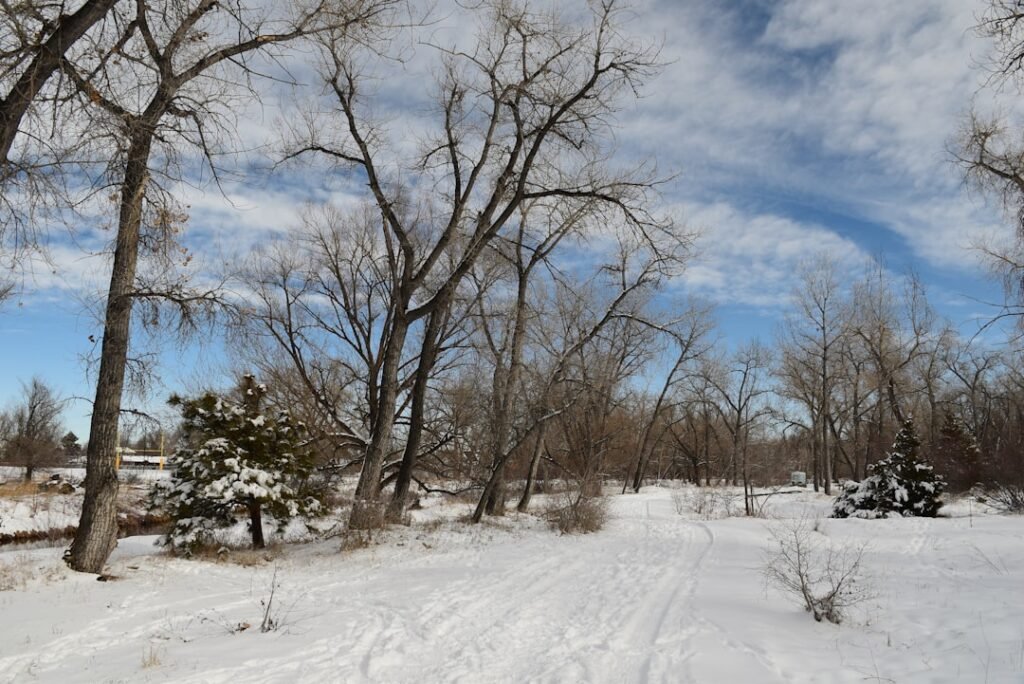 Photo Winter landscape