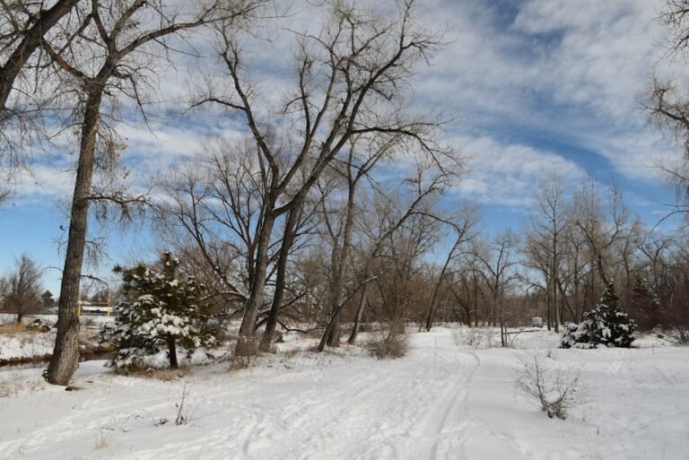 Photo Winter landscape